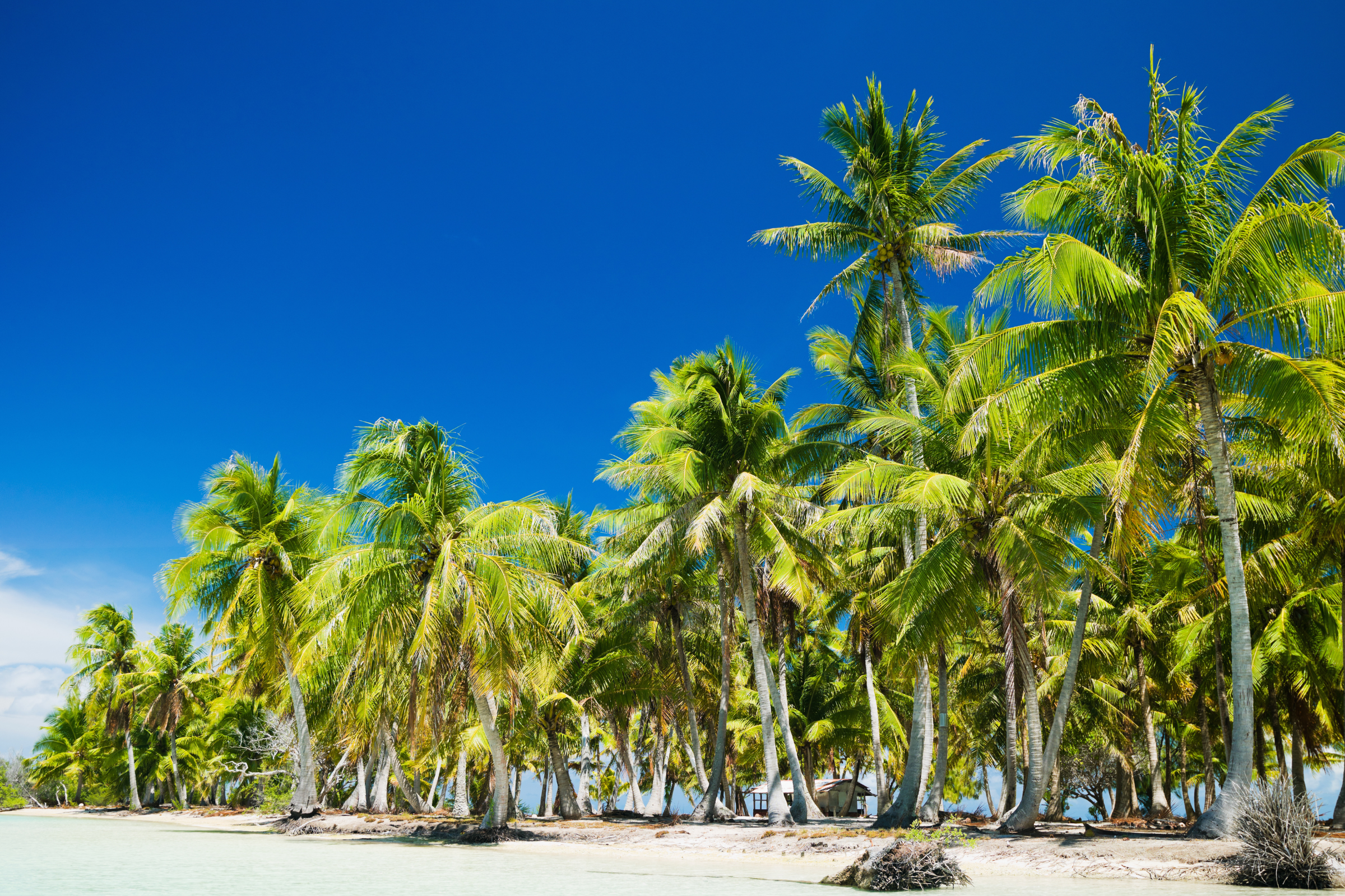 187 tuamotu archipelago.webp